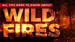 Wildfires Explained: The Science Behind California's Blazes 🌲🔥