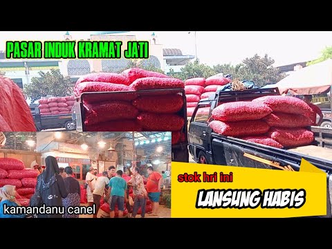 Video: Bawang