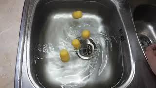 Experiment Whirlpool inside shell #2