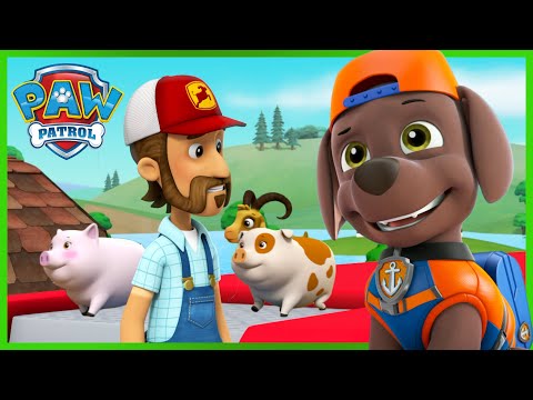 PUPS SAVE THE ANIMALS AND THE FLOODED FARM!