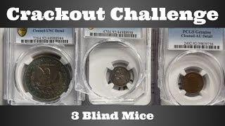 Crackout Challenge - Pcgs To Ngc - How Do The Grades Compare? - 3 Blind Mice