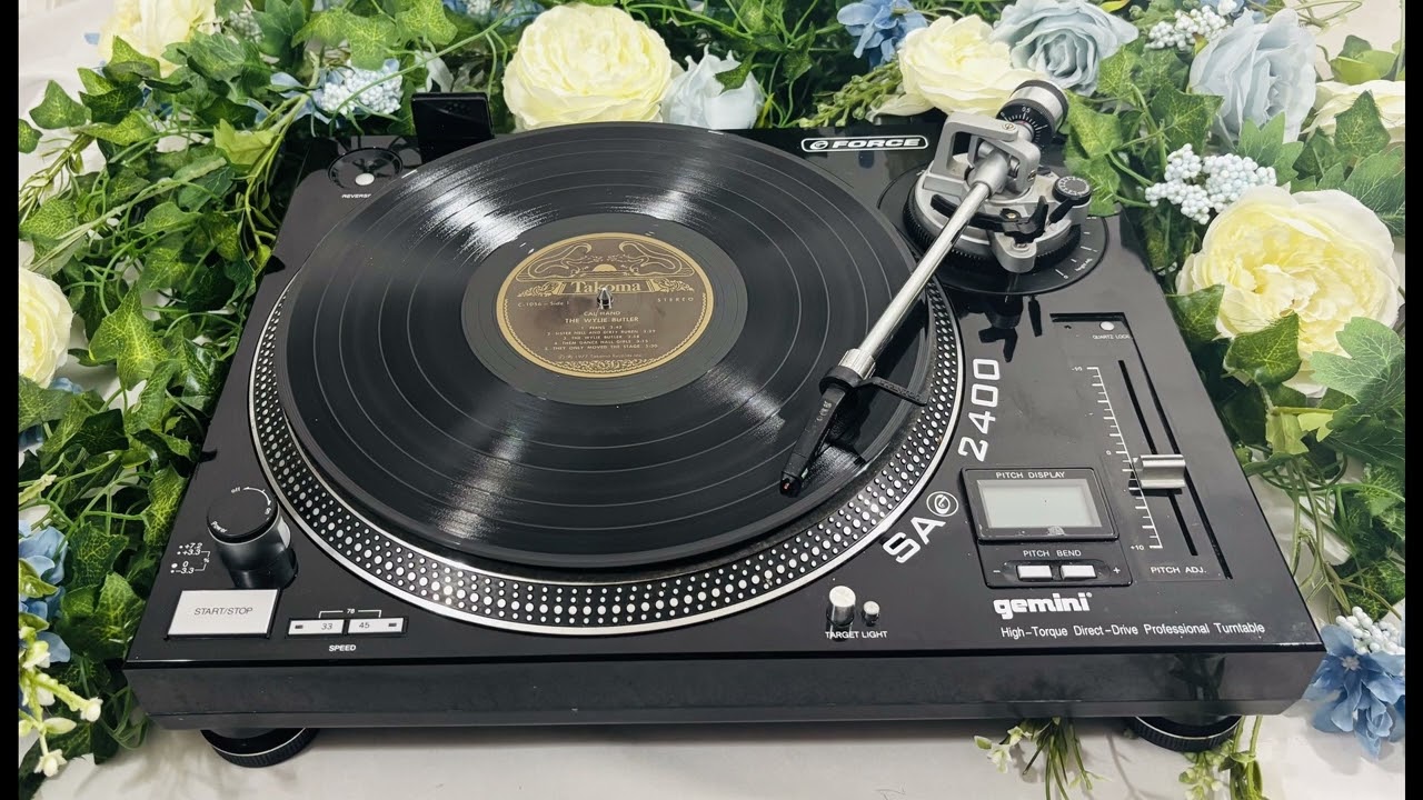 INSTRUMENTAL - "FERNS" - Cal Hand - Bluegrass