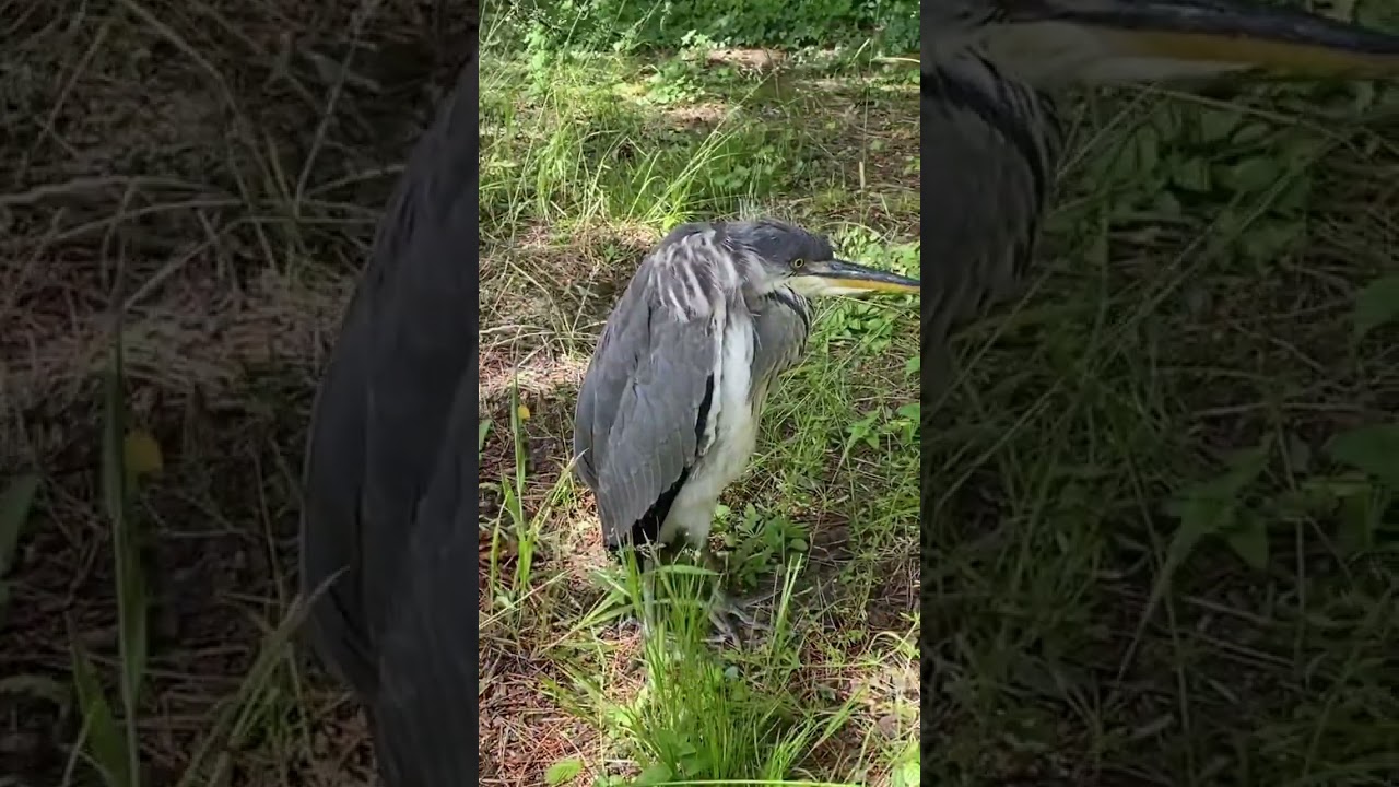 Чё тебе нужно? А?