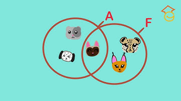 CONJUNTOS PARA NIÑOS DE PRIMARIA. DIAGRAMA DE VENN FÁCIL. Aprende a hacer conjuntos.