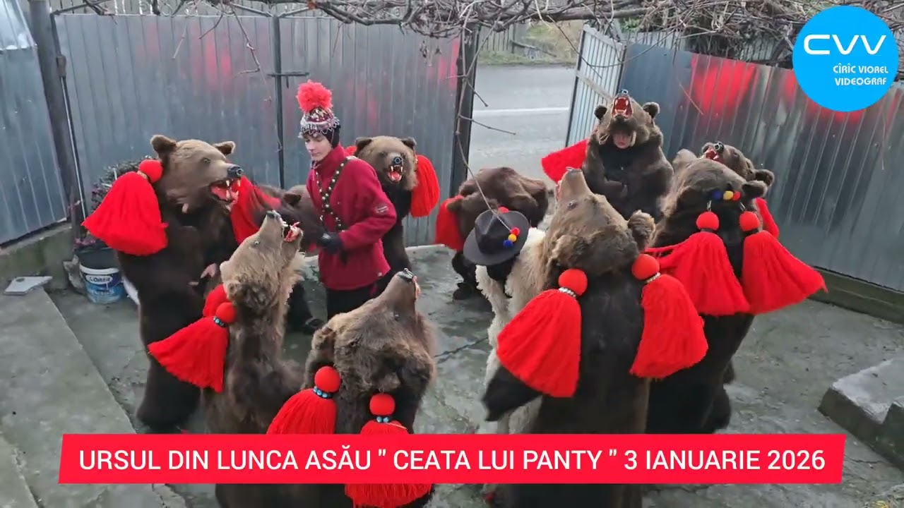 URSUL DIN LUNCA ASĂU 