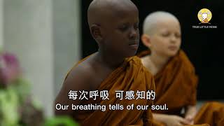 True Little Monk Breath Of Pleasure Chinese Version 2Official Mv