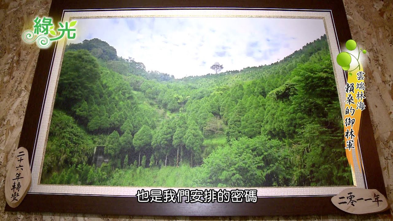 冠軍HD電視台-綠光-賴桑的御林軍