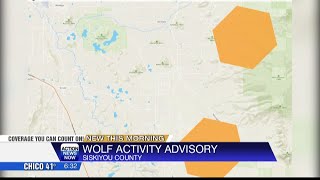 Siskiyou County Sheriff's Office monitoring wolf activity in the area of Harry Cash Road, A-12