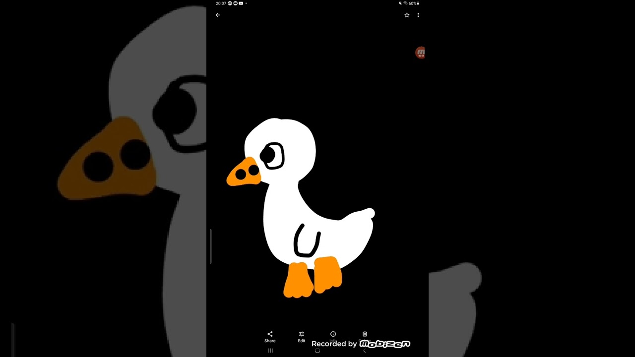 Animal adventure park Zoo ABC Animals