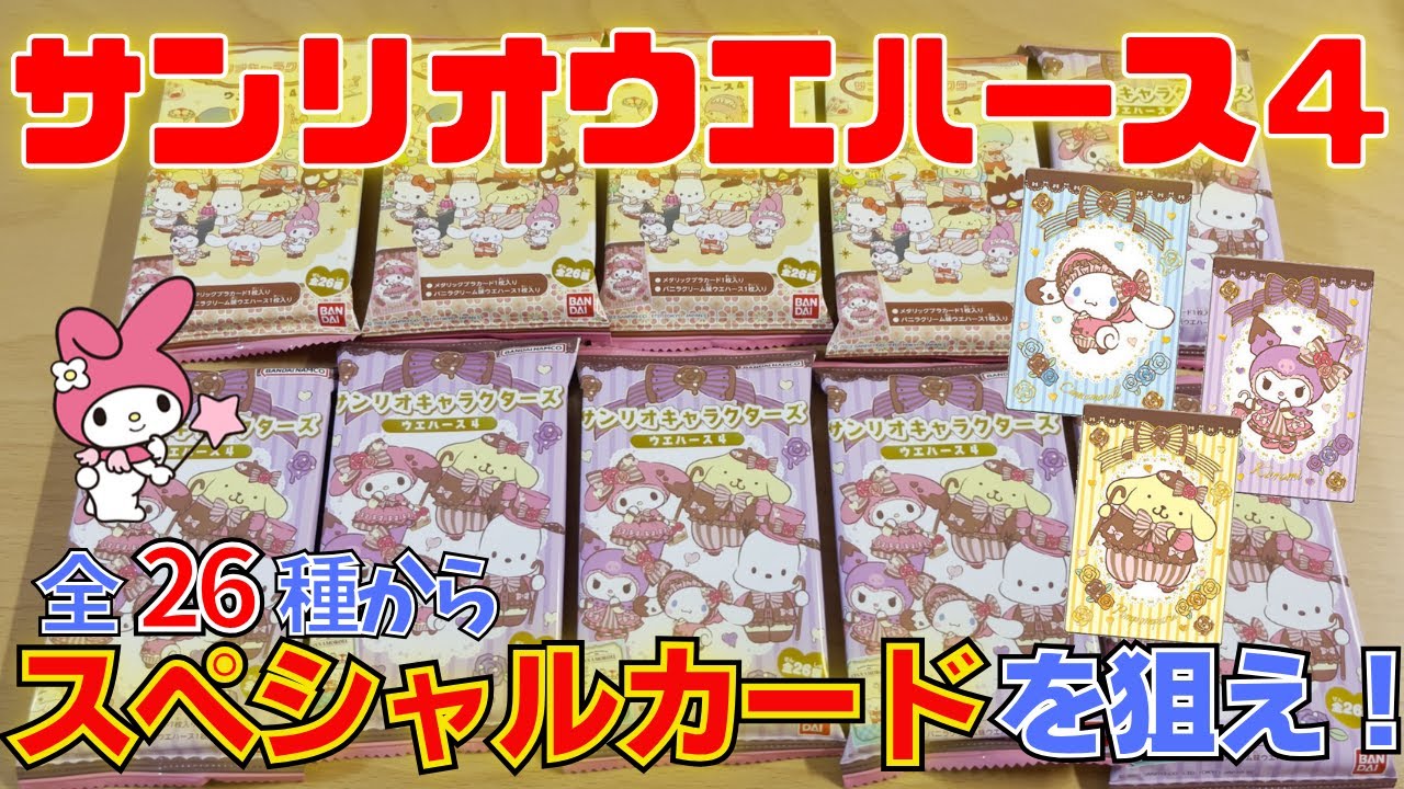 サンリオ購入品紹介】話題の人気商品！サンリオキャラクターズ