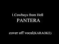 PANTERA - Cowboys from Hell cover instrumental (off vocal)