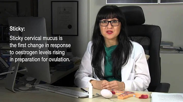 How To Get Pregnant - Cervical Mucus & Predicting Ovulation - Series 1 - Episode 5