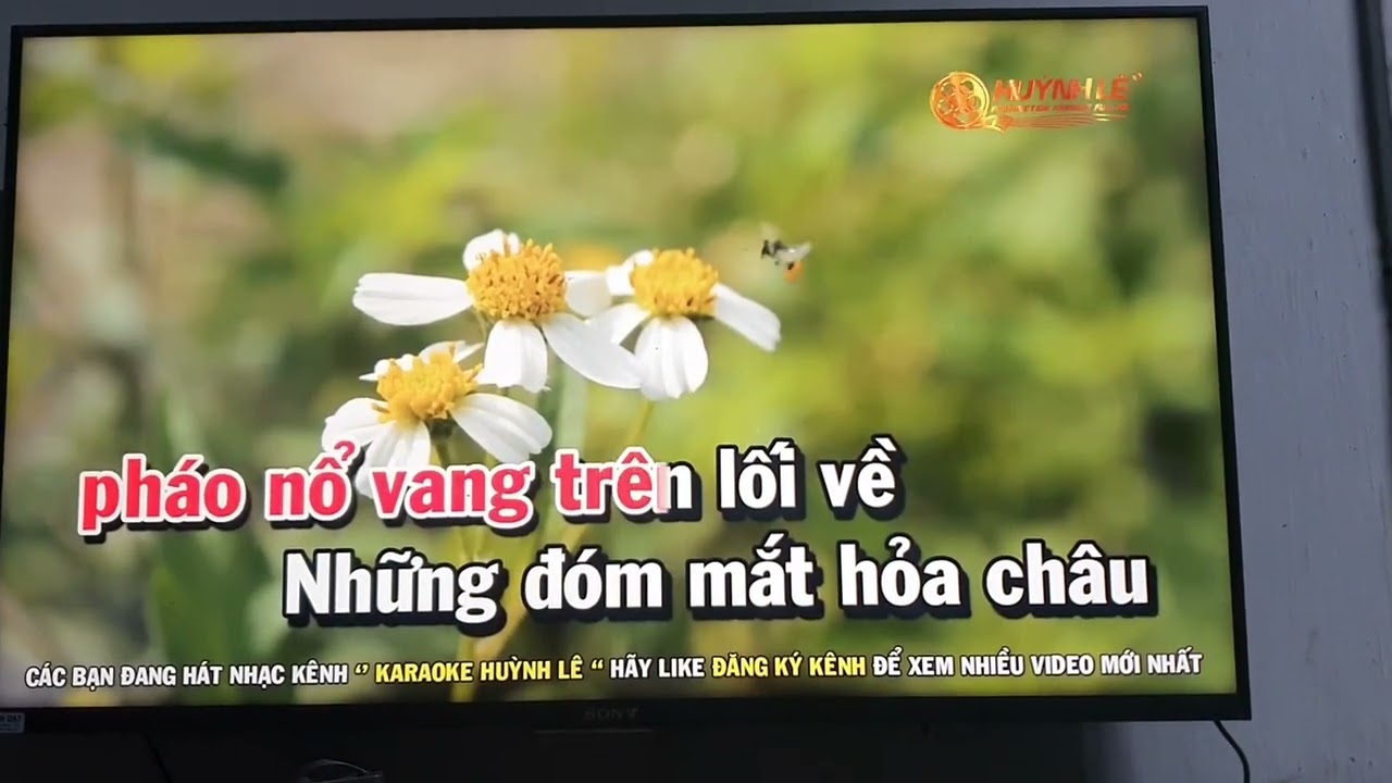 Những đóm mắt hỏa châu