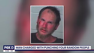 TAMPA BAY, FL PUB DEC 13, 2022, FLORIDA MAN ARRESTED AFTER PUNCHING SEVERAL RANDOM PEOPLE!!! CRAZY!