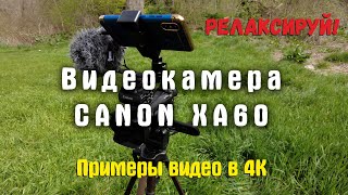 Canon XA60 видео в 4К 25fps. Примеры видео. Релаксируй!
