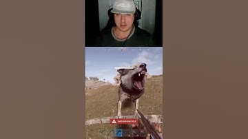 Тамбовские волки руинят | twitch.tv/nerpahouse #rust #shorts #twitch #streamer #game #раст