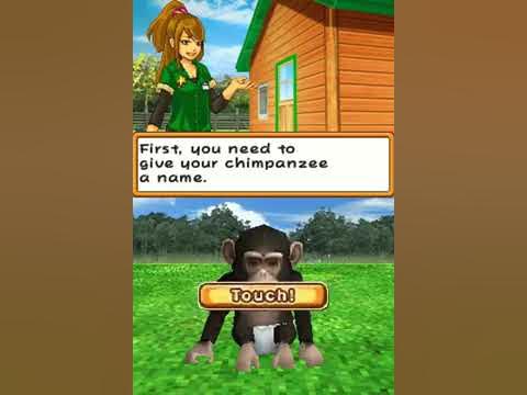 My Pet Chimp - Nintendo DS