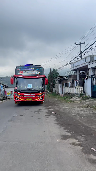 manuk dadali dulu bang “ALBINO” #telolet #basuri #busmania #busmania