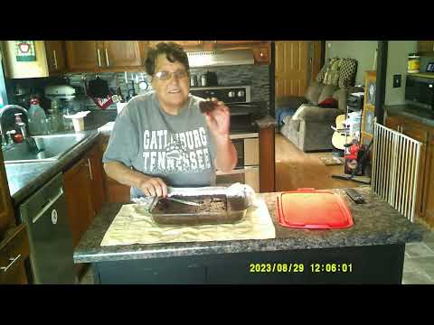 Crazy Cake Brownies by TJ's Tiny Homestead