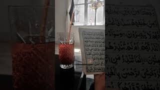 YA RABI