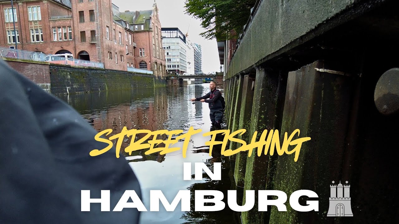 🎣 Streetfischen in Hamburg – Barsche direkt aus der City