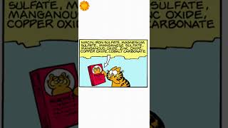 Garfield: Jon will not get rid of me that easily. 😼