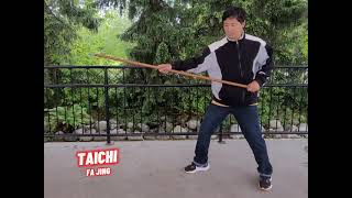 Taichi Yang Style Fa Jing Practice