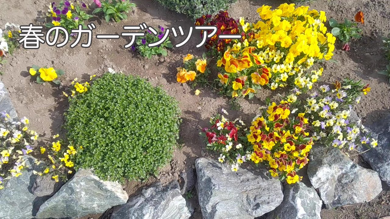 春のガーデンツア 北海道５月のお庭紹介 Youtube