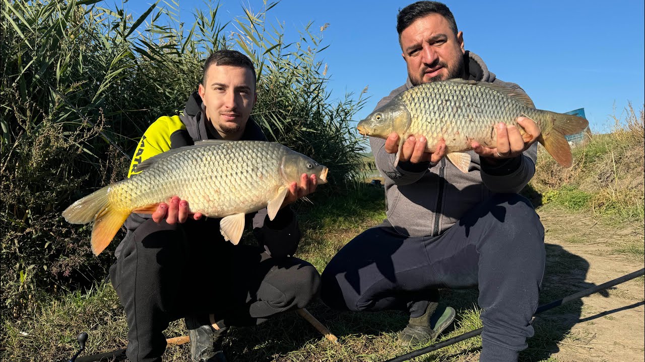 Pescuit la Method Feeder in sezonul rece || Partida de senzatie pe balta cu retinere || AE BAITS
