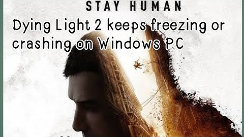 HOW TO FIX DYING LIGHT 2 NOT LAUNCHING#BLACK SCREEN#ISSUE SOLVED WINDOWS PC.