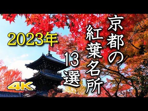 【4K 京都の紅葉絶景🍁13選】2023年の鮮やかな名所