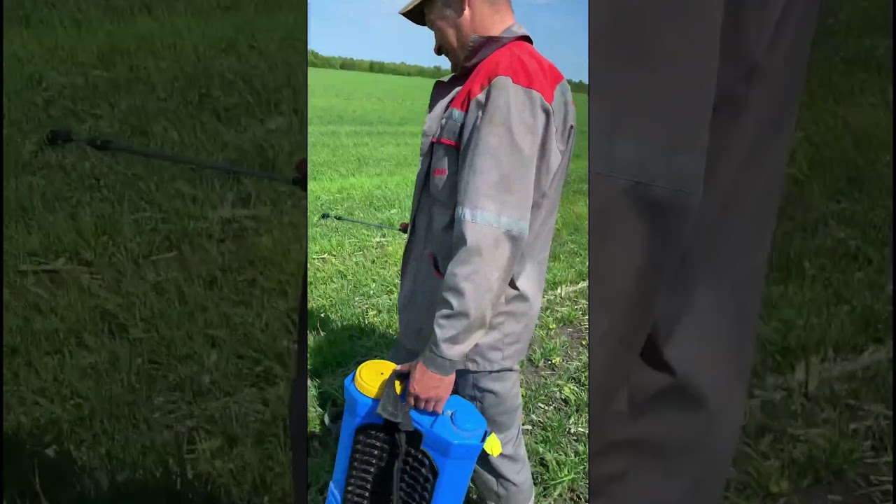 Дифференцированный способ обработки гербицидом (2.4Д+Флорасулам)