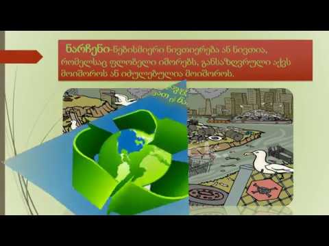 დედამიწის დღე