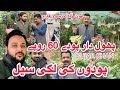 flower, big sale 60 rs One piece  flower | Gujar Khan flower sale offer | غوث پاک نرسری فارم