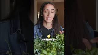 Is Basil the Most Dramatic Herb