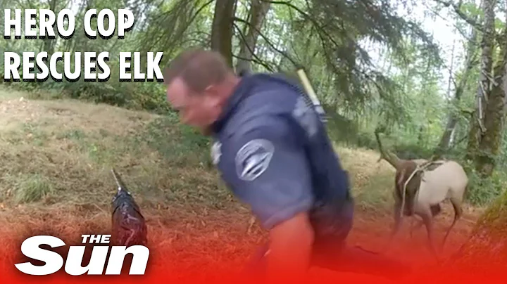 Hero cops rescue trapped Elk - but are bucked in the process