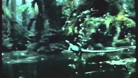 2002 Saturn Vue commercial