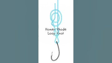 Homer Rhode Loop Knot #shorts