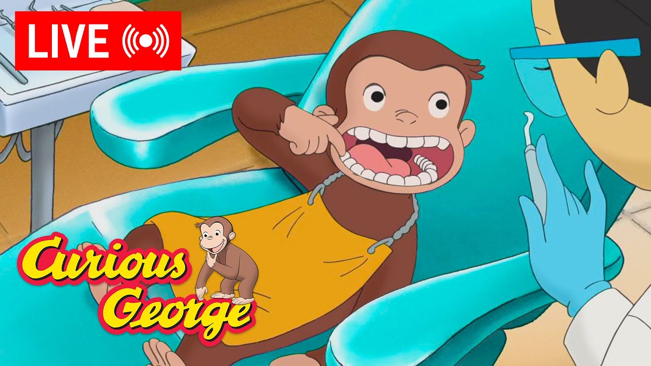 ⁣🔴 LIVE Curious George Episodes 🐵 George Learns to Brush His Teeth + More! 🐵