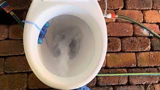 My Caroma Uniset II Concorde Toilet Suite. 1 Year Old Today