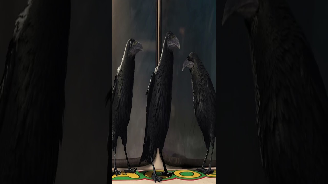 Crows Remember Faces and WARN Other Crows 