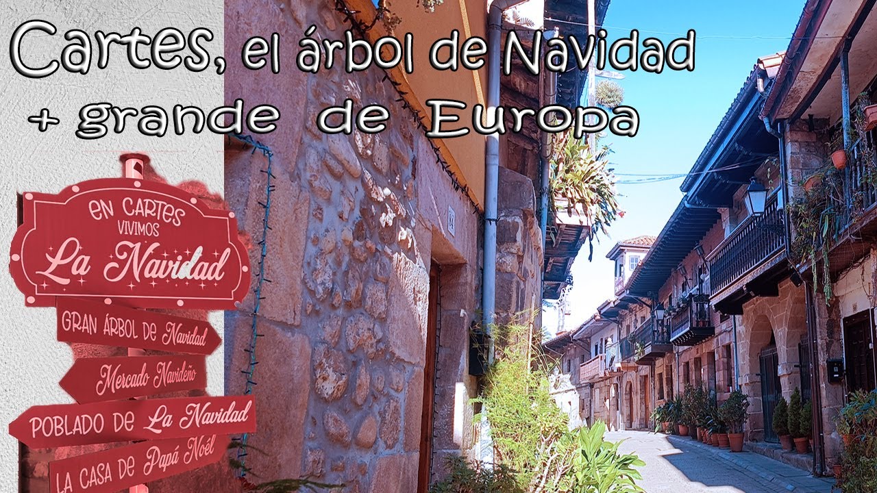 En Cartes está el árbol de navidad más grande de Europa!!! Diciembre 2023.