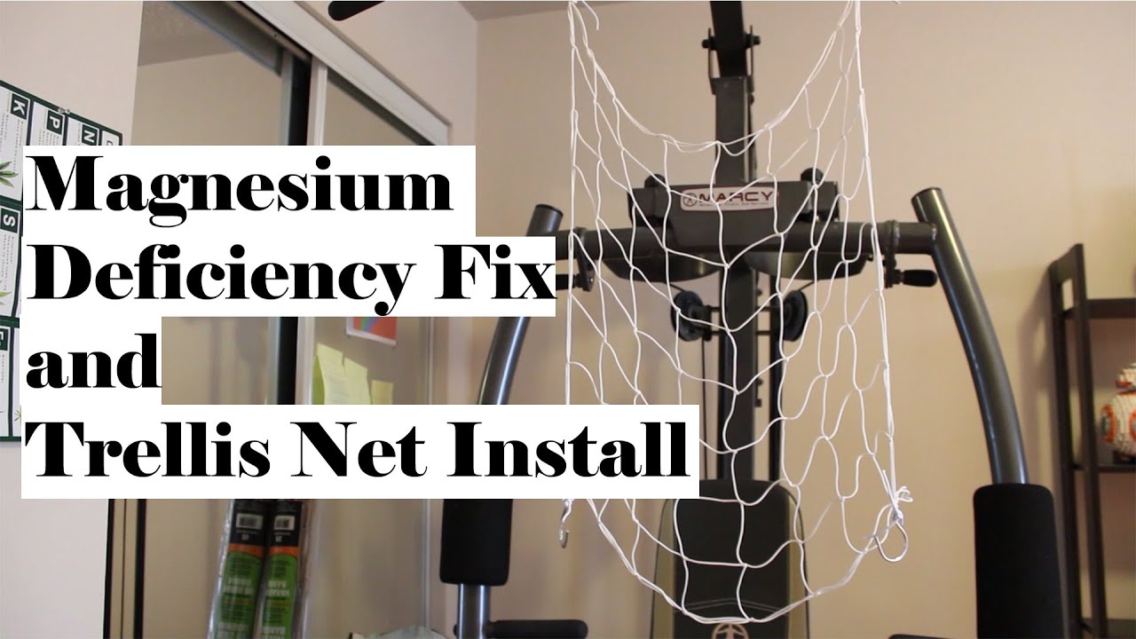 Magnesium Deficiency Fix and Secondary Trellis Net Install YouTube