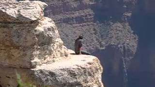 Idiot Grand Canyon