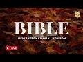 NIV Bible Live Stream – Discover Peace and God’s Truth in Scripture 🔴 BibleVision LIVE