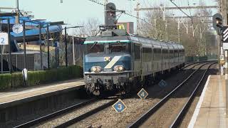 Brandnew Train Company Govolta With Loc 101001 Station Colmschate Maart 2026