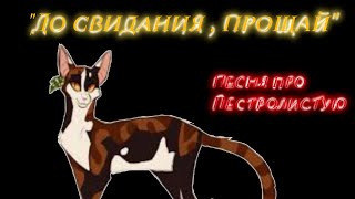 картинка: 