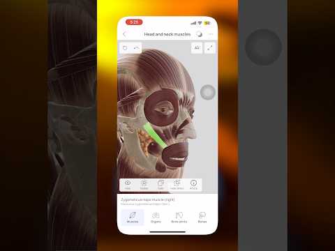أطلس تشريح مجاني