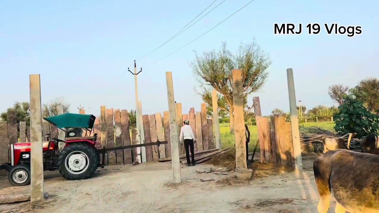 मेरे घर पर आज गायों के लिए पशु बाङा बनाया, पशुओं के बिना हमारा जीवन अधूरा है 