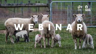Learn to Lamb Webinar - Part 1